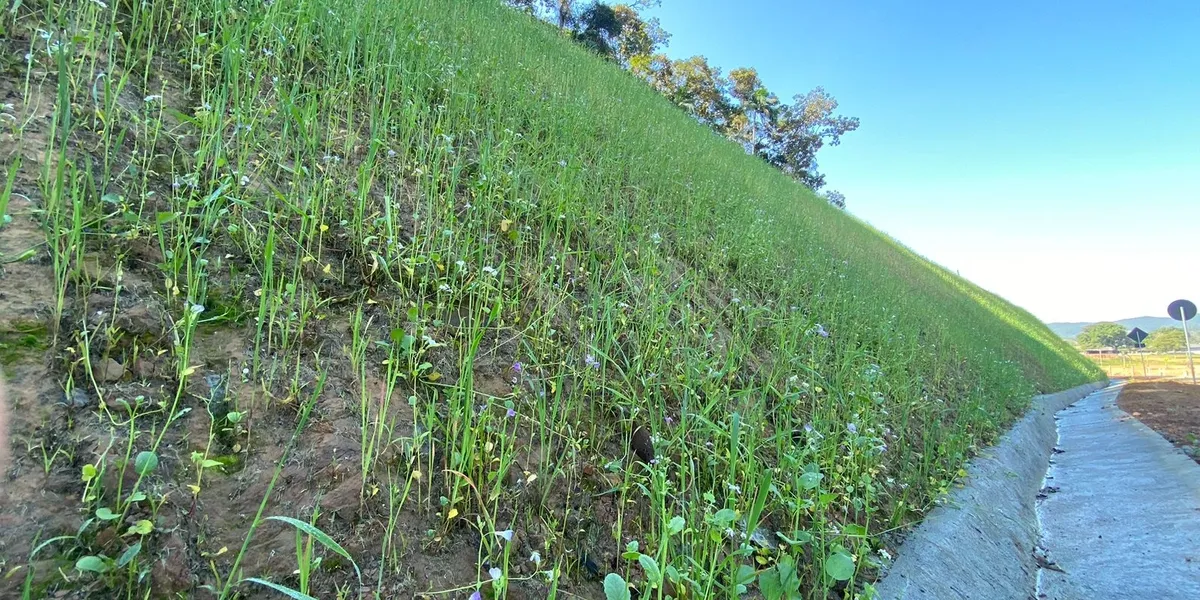 Serviços Ambientais